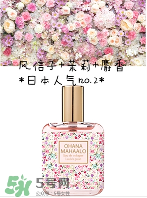 ohana mahaalo��ˮ��ʲô���ӣ�ohana mahaalo������